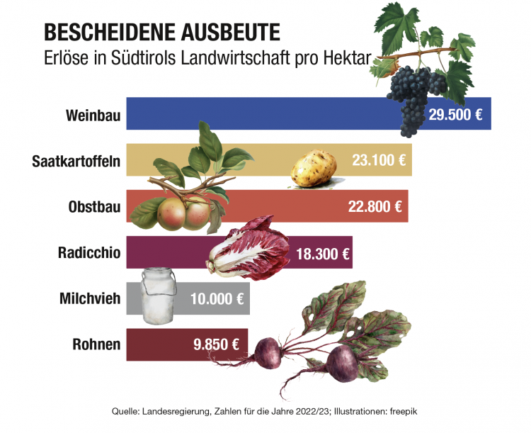 Infografik