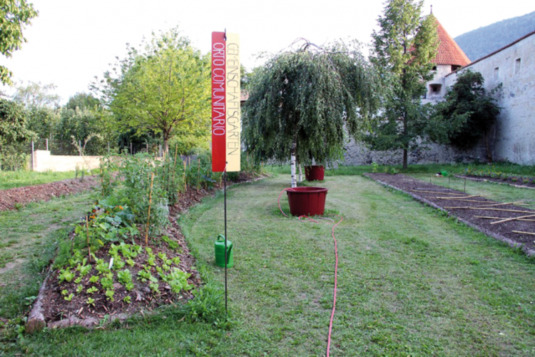 Gemeinschaftsgarten in Glurns