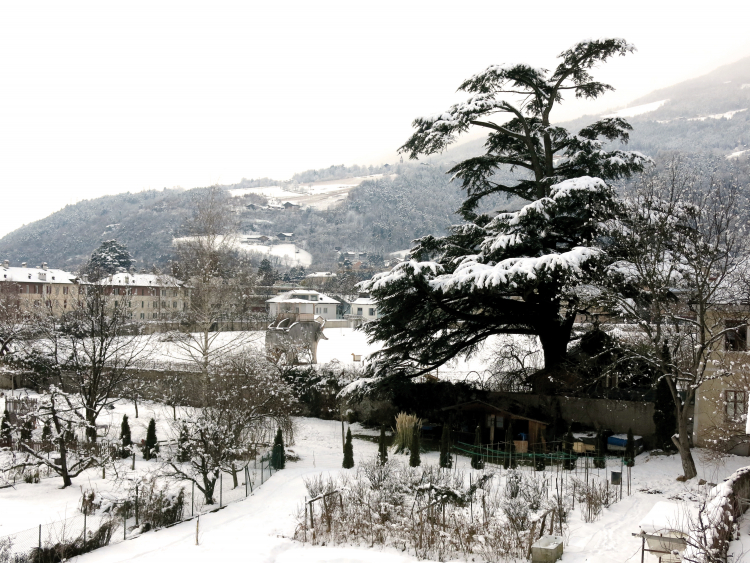 Hofgarten Brixen