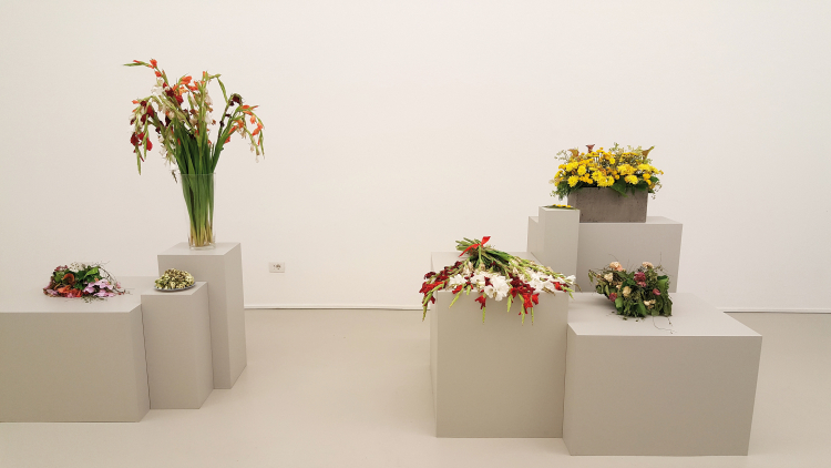 Ausstellung „Flowers are documents“