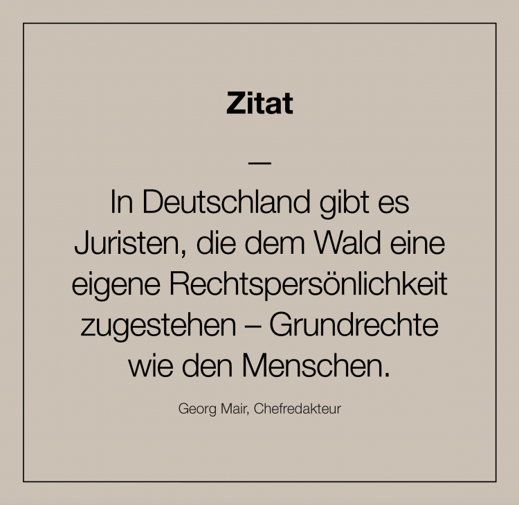 Zitat