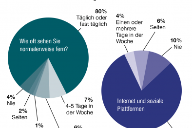 Grafik Medien Nutzung