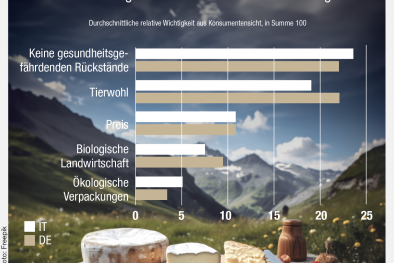 Infografik