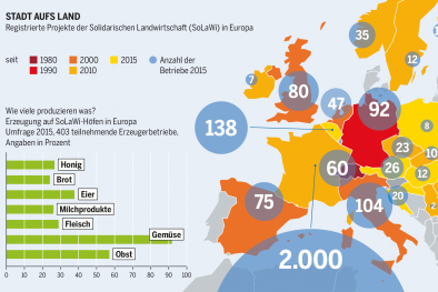 Infografik