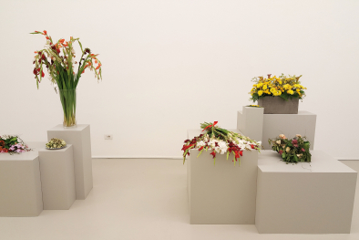 Ausstellung „Flowers are documents“