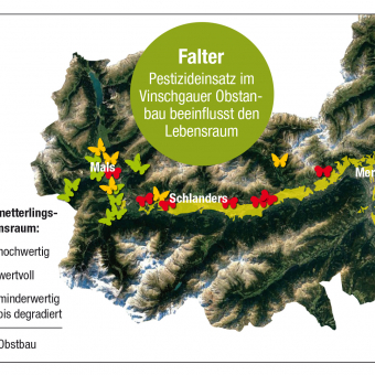 Infografik