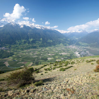 Vinschgau